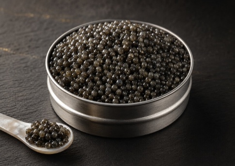 Beluga Caviar
